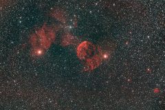 IC 443, Quallen-Nebel